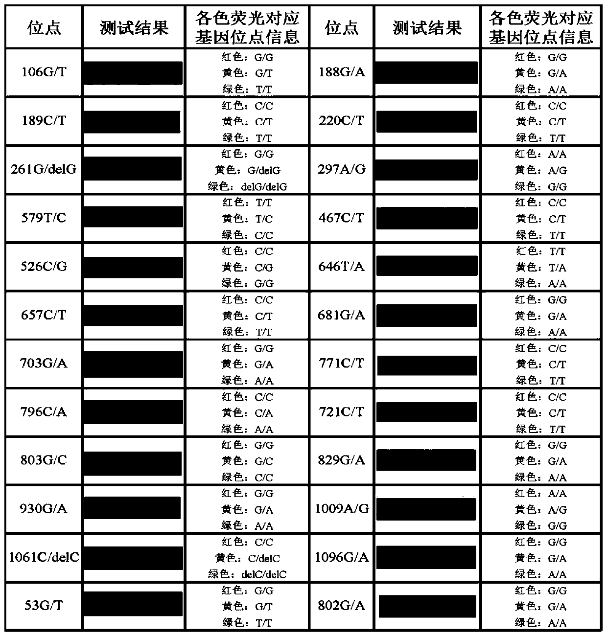 Primer groups and kit for detecting ABO genotypes of human red blood cells, and application of kit