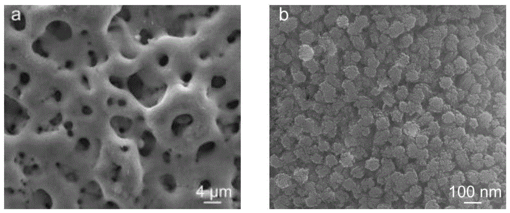 Titanium dioxide/strontium-containing fluorohydroxyapatite bioactive nanocomposite coating and its preparation method and application