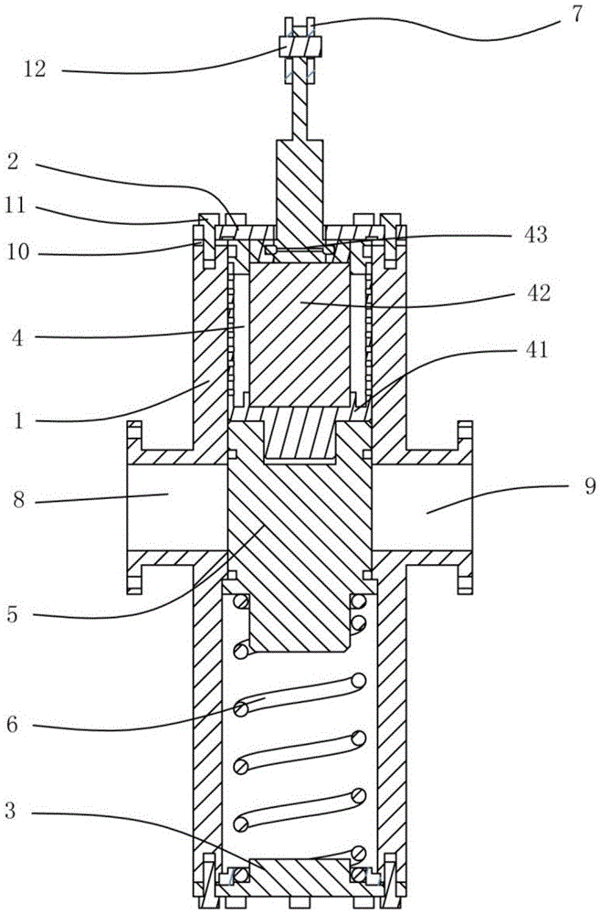 Filtering water supply valve