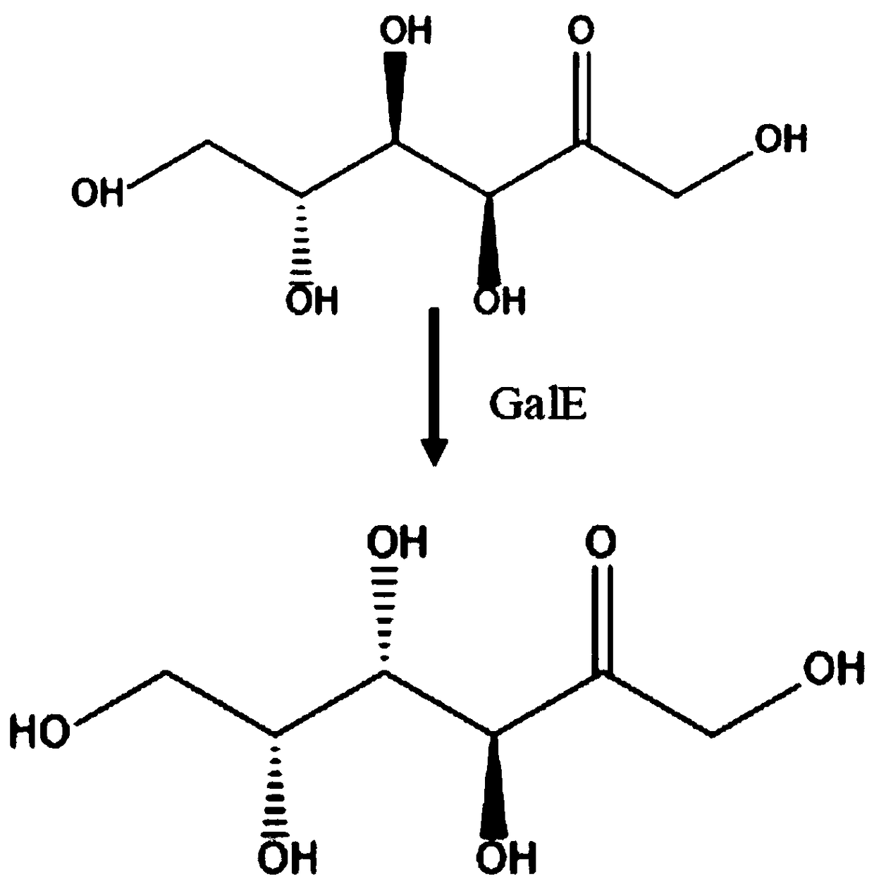 Method for fermentation production of D-tagatose by saccharomyces cerevisiae