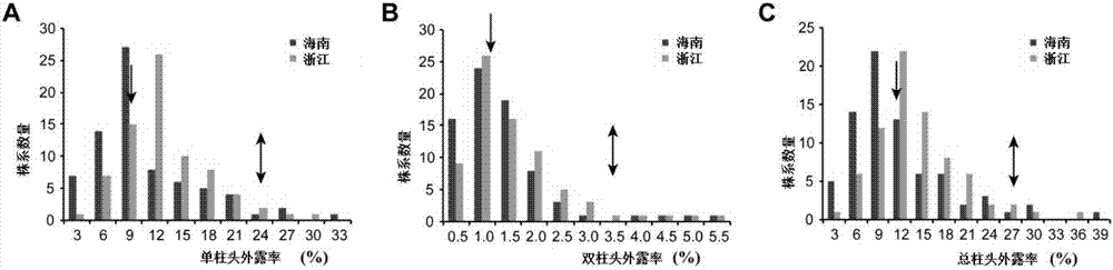 Molecular marker linked with QTL (quantitative trait locus) of rice stigmas exsertion, and application