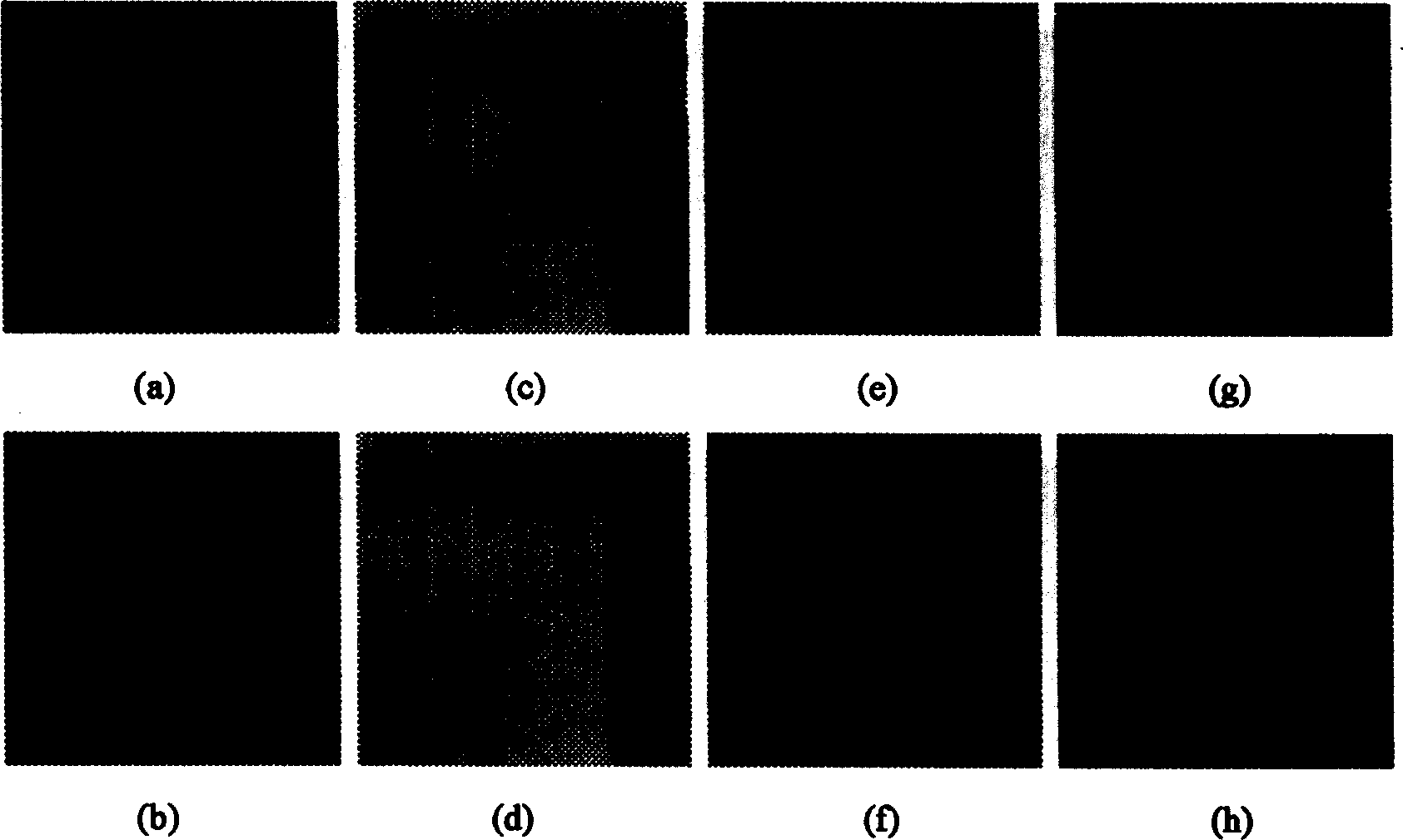 Multiple focussing image fusion method based on block dividing