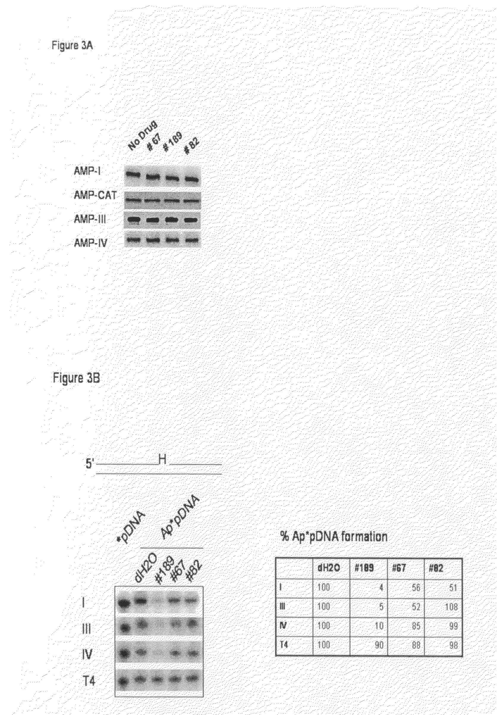 Compounds that inhibit human DNA ligases and methods of treating cancer