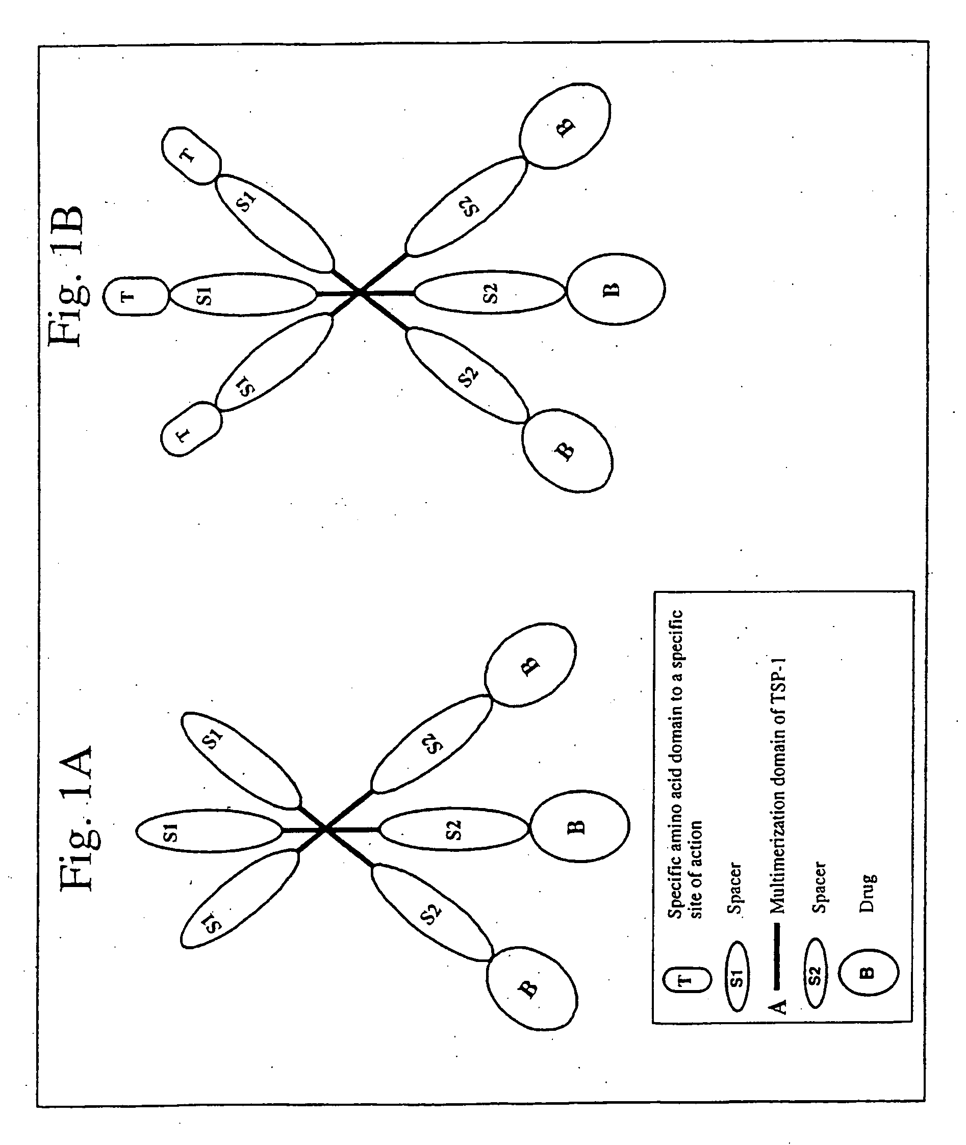 Carrier chimeric proteins, targeted carrier chimeric proteins and preparation thereof