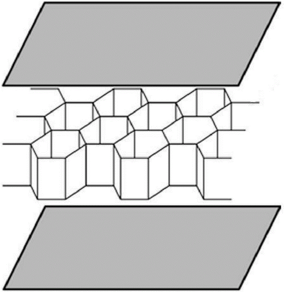 Manufacturing method of amino acid sanitary napkin honeycombed core