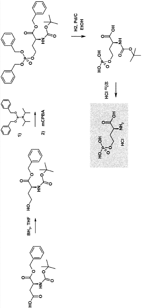 Process for producing L-methionine from O-phospho-L-homoserine and methanethiol employing a mutated cystathionine gamma-synthase