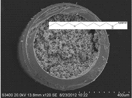 Preparation and applicationof aflatoxin B1 aptameraffinity capillarymonolithic column