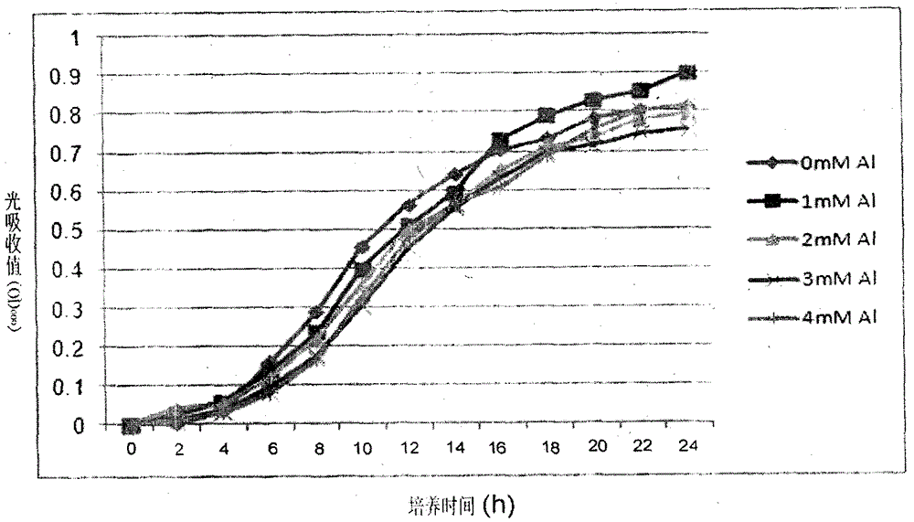 A kind of bacterial strain resistant to aluminum