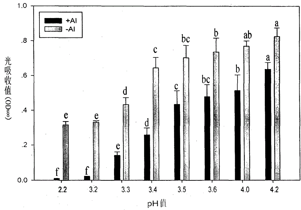 A kind of bacterial strain resistant to aluminum