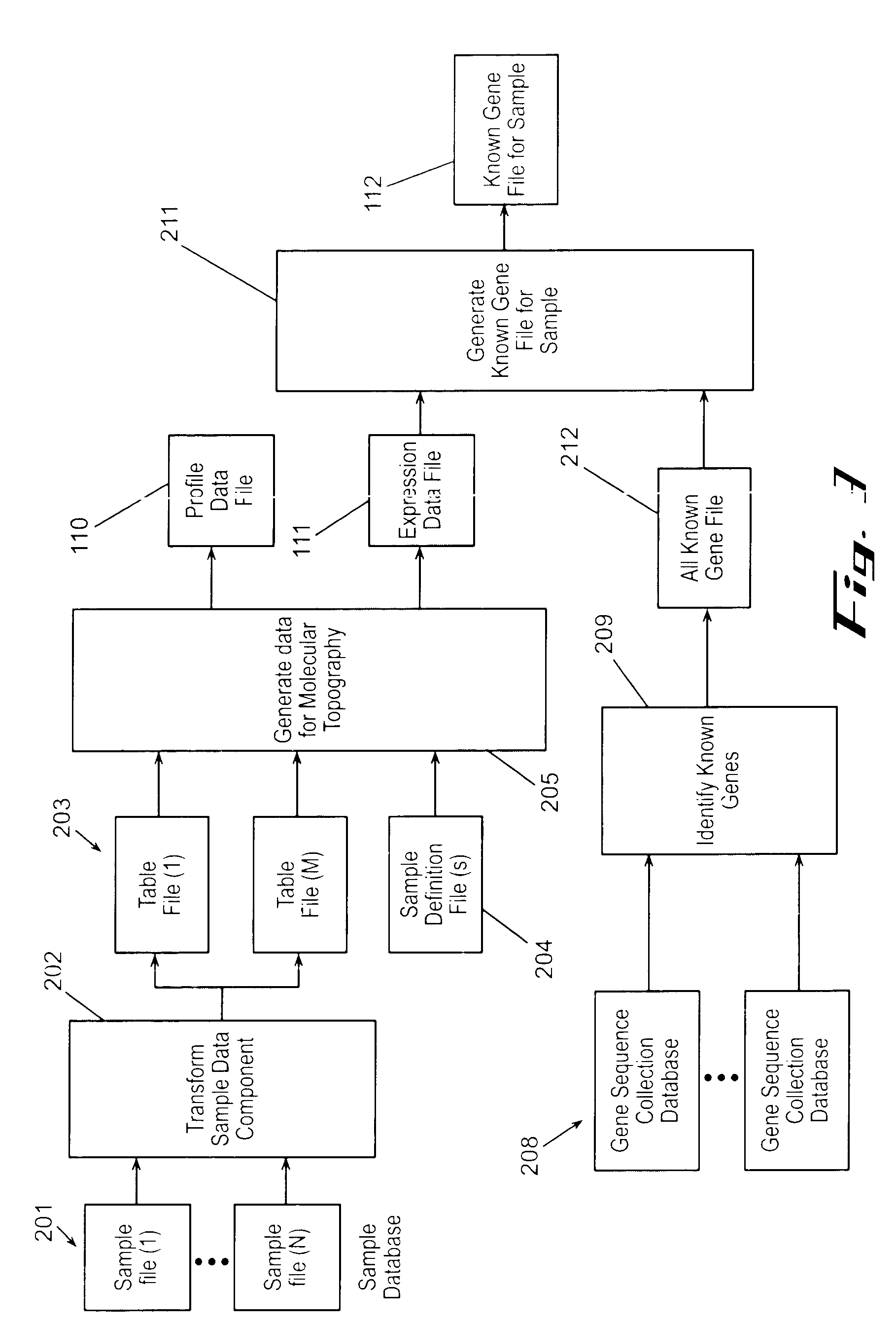 Computer methods and systems for displaying information relating to gene expression data