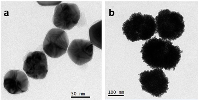 A kind of gold silver nano flower particle with core-shell structure and its preparation method and application