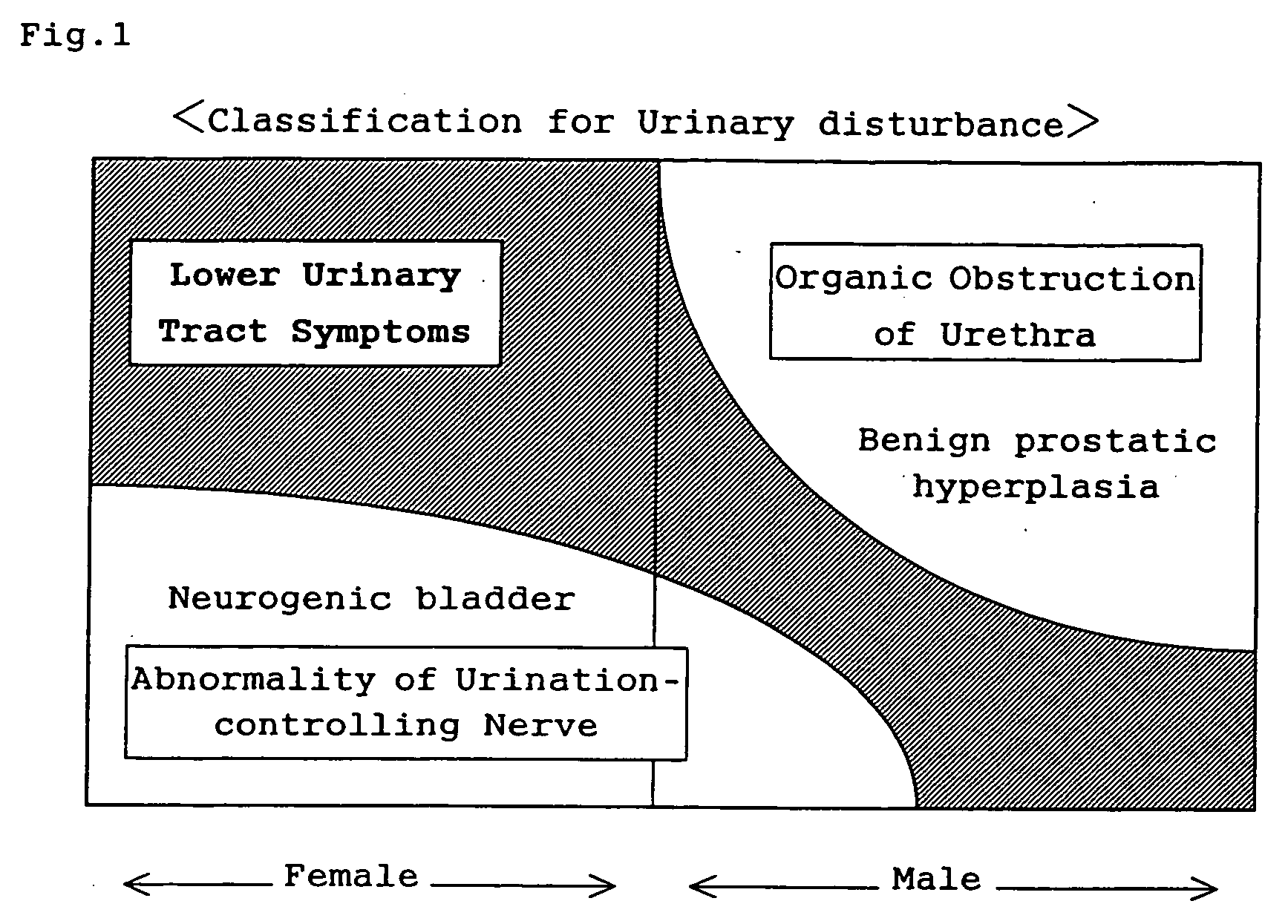 Pharmaceutical composition for the therapy of lower urinary tract symptoms