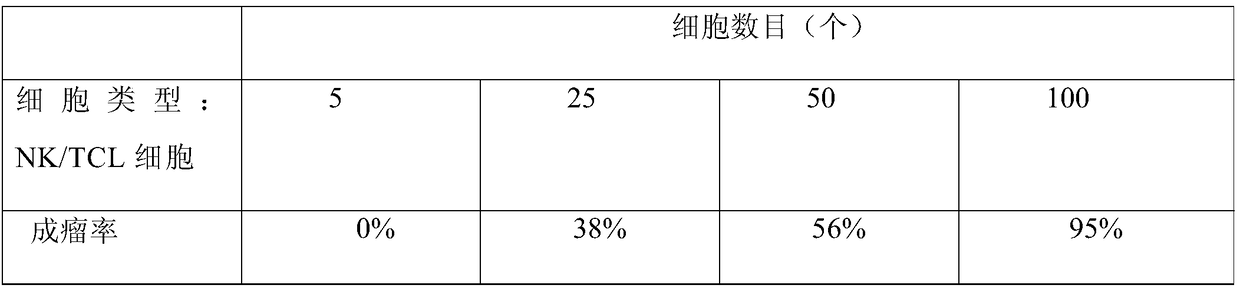 Constructing method and application of zebra fish NK/TCL tumor model