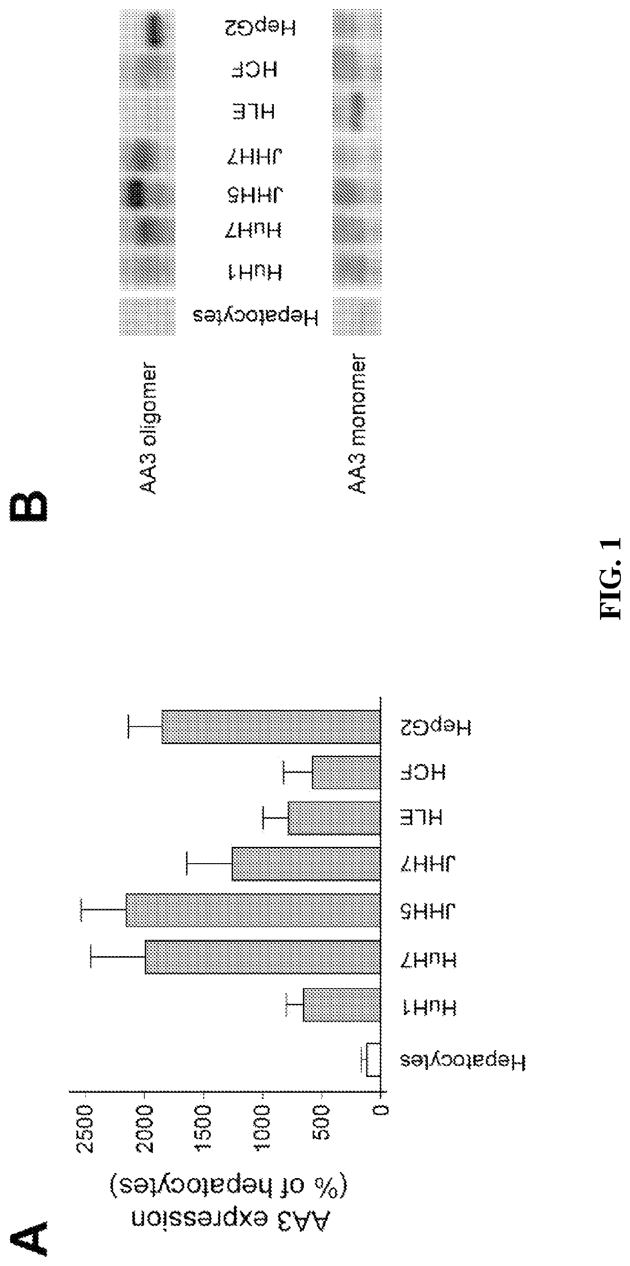 Inhibition of aminocylase 3 (AA3) in the treatment of cancer