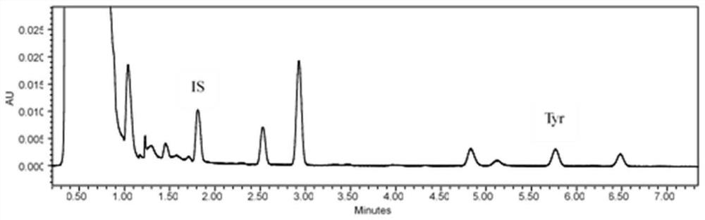 A kind of detection method of tyramine content in fermented meat products