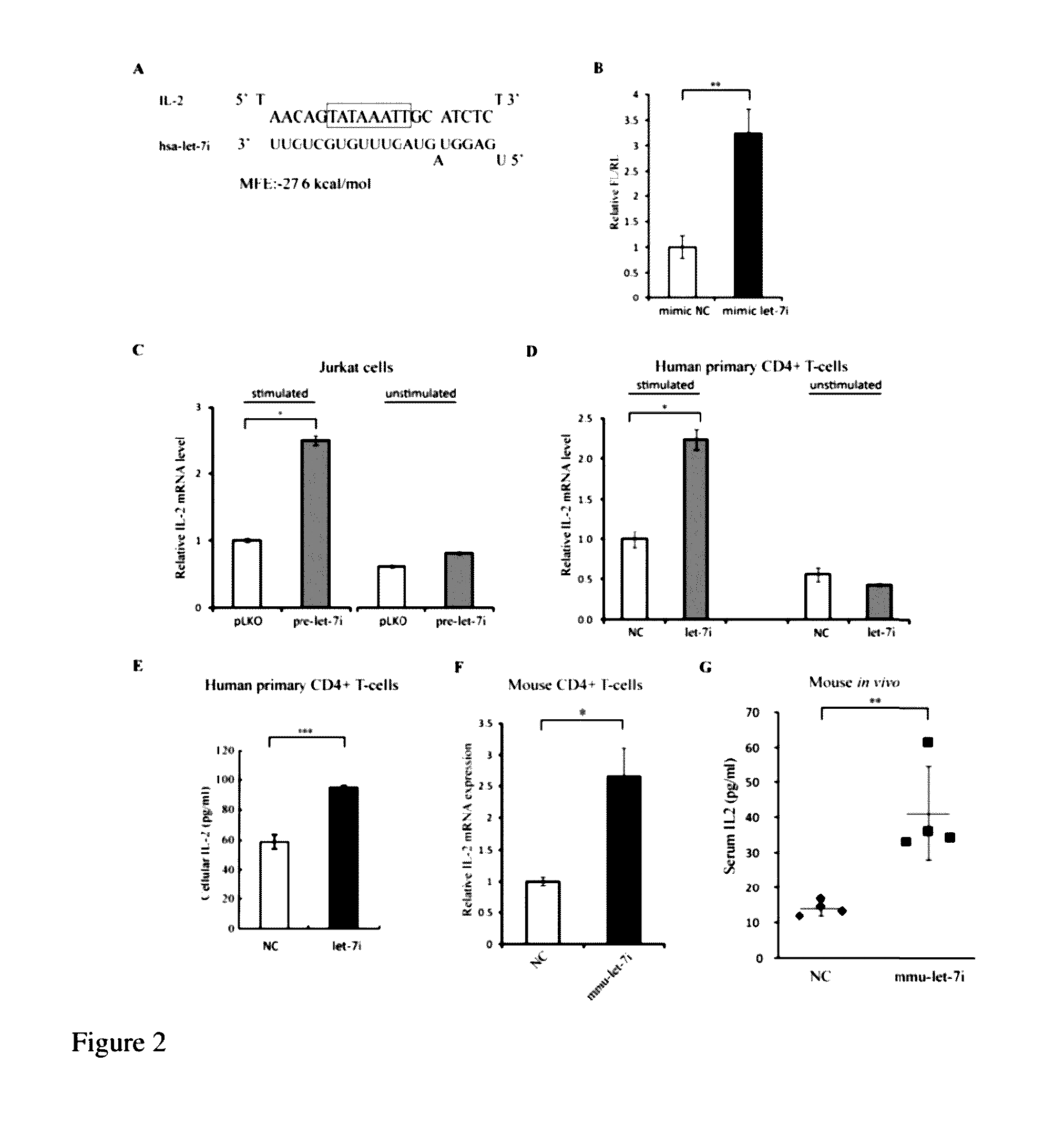 Small rna, preparation method therefor and application thereof in pharmaceuticals for specifically up-regulating gene transcriptional activity