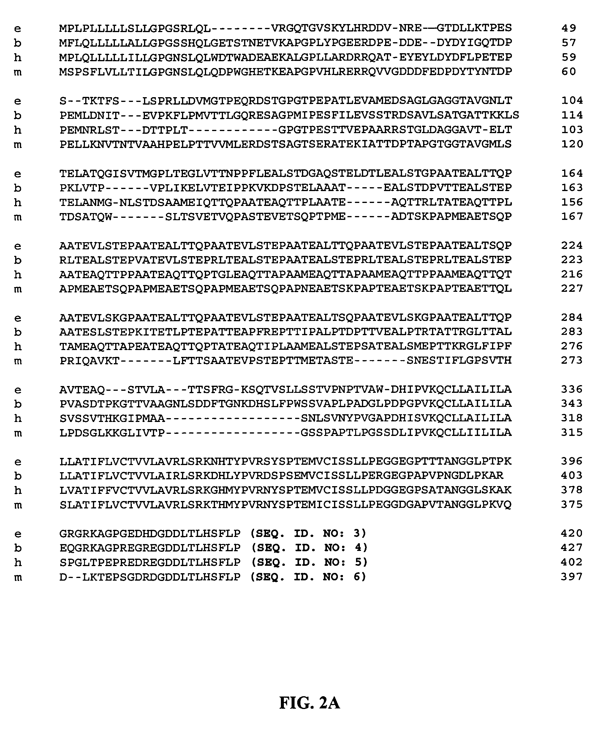 Bovine P-selectin glycorpotein ligand-1