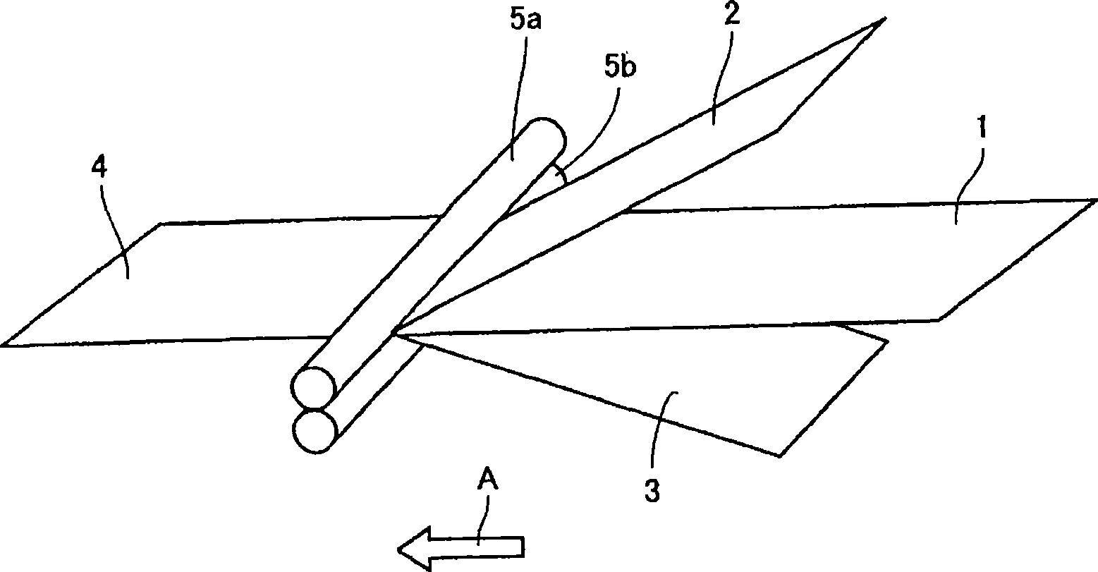 Method for producing poliarization substrate