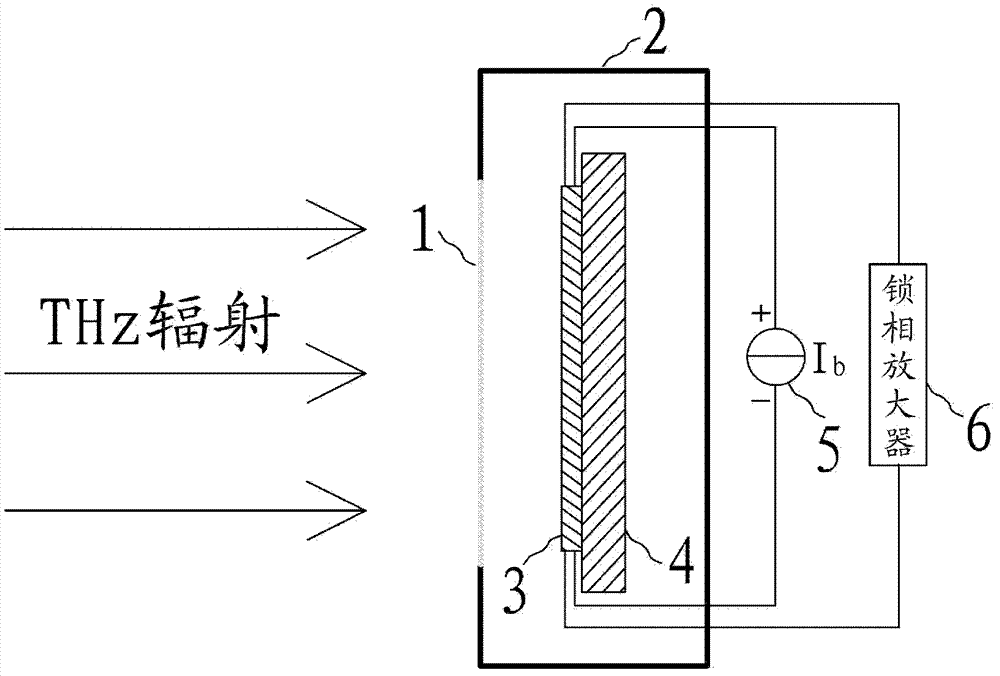 Terahertz wave detector