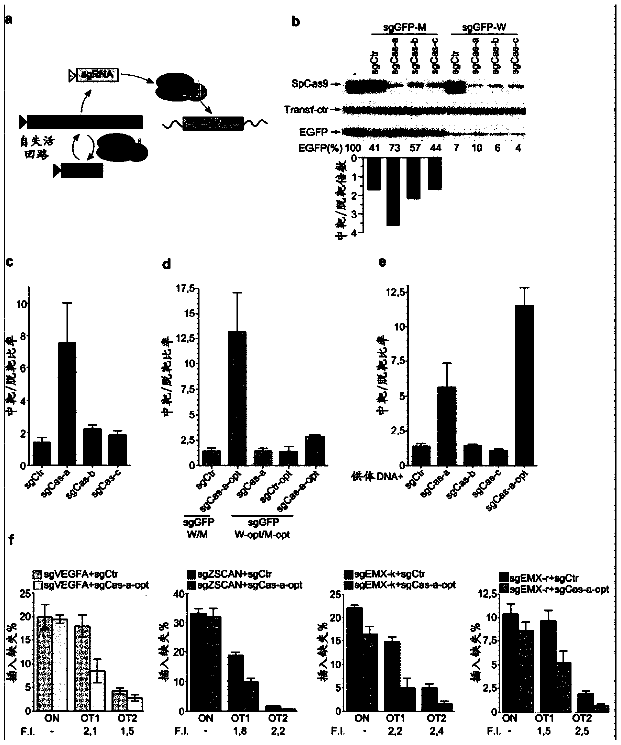 SELF-LIMITING Cas9 CIRCUITRY FOR ENHANCED SAFETY (SLiCES) PLASMID AND LENTIVIRAL SYSTEM THEREOF