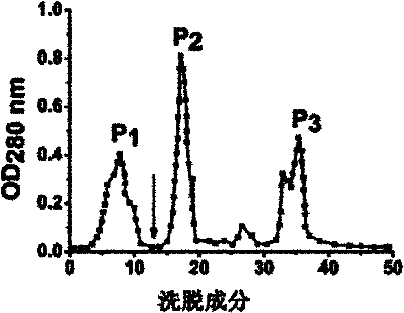 Liparis nervosa lectin gene and protein as well as application thereof