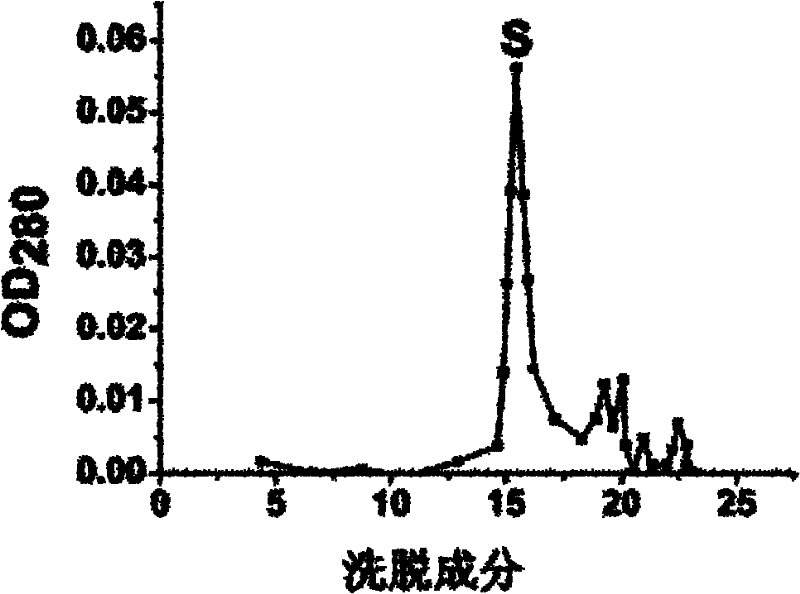 Liparis nervosa lectin gene and protein as well as application thereof