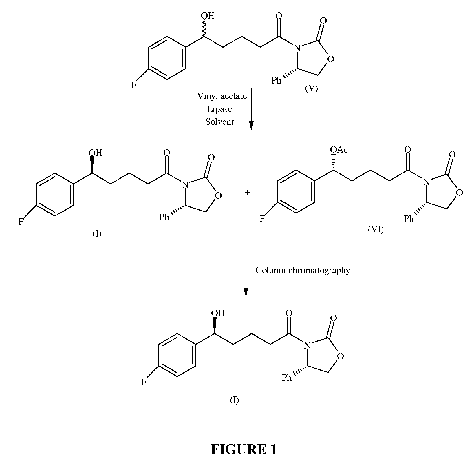 Kinetic resolution of (4S) -- 4- phenyl -- 3- [(5RS)-5-(4-flurophenyl)-5- hydroxypentanoyl] --1,3-oxazolidin-2-one to the (5S) isomer via lipase catalyzed enantioselective esterification of the (5R) isomer