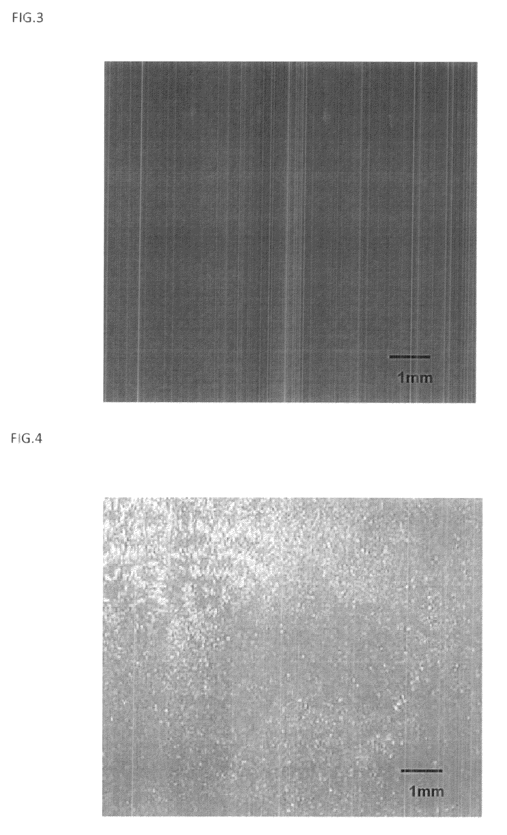 Method for producing patch, patch and package
