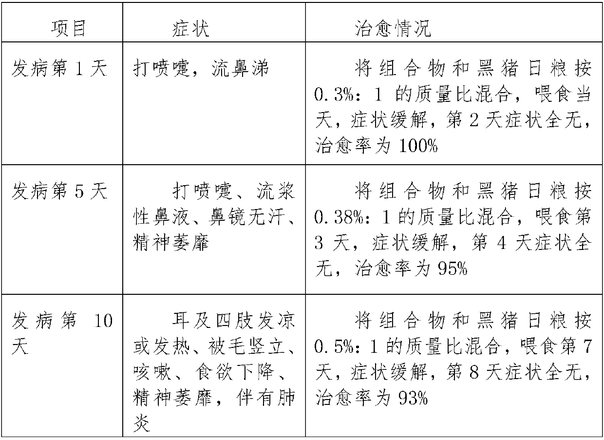 Composition for treating viral cold of black pigs and preparation method of composition