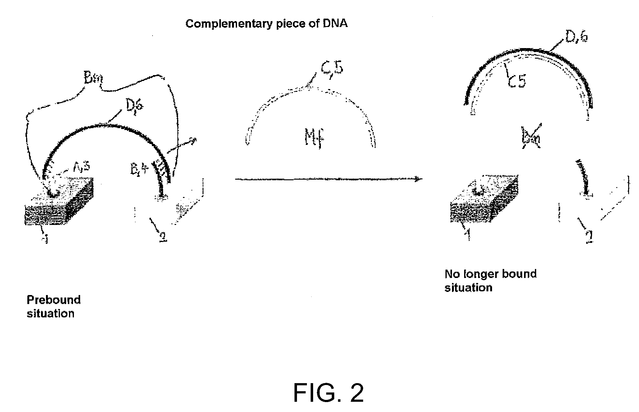 Method for Identifying and Quantifying Organic and Biochemical Substances