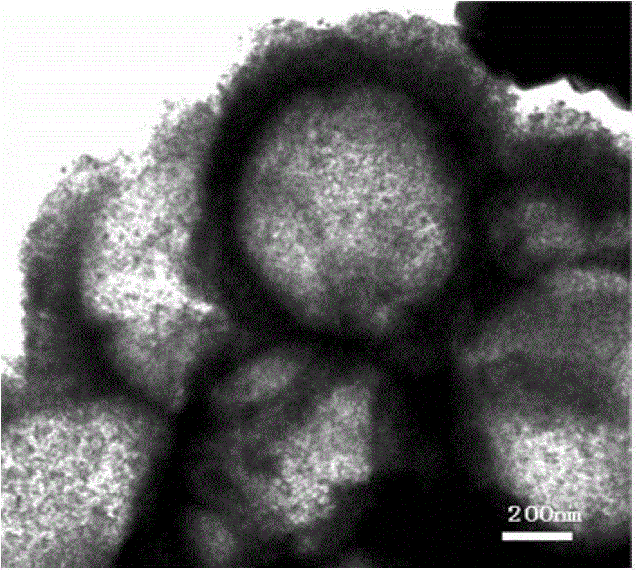 Preparation method for mesoporous hollow spherical TiO2 having high visible light catalysis performance