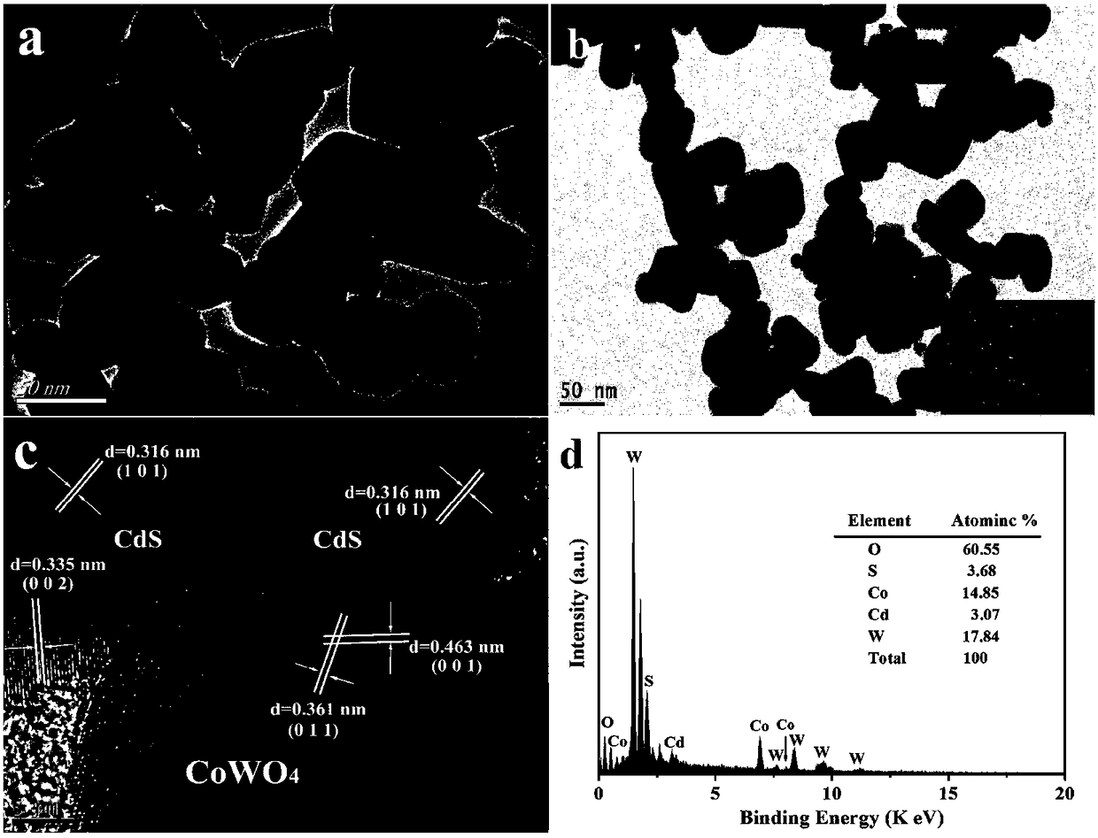 A method for preparing cds/cowo4 heterojunction composite photocatalyst