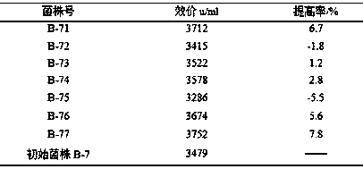 Streptomyces clavuligerus strain with high production of clavulanic acid and stress breeding method and application thereof