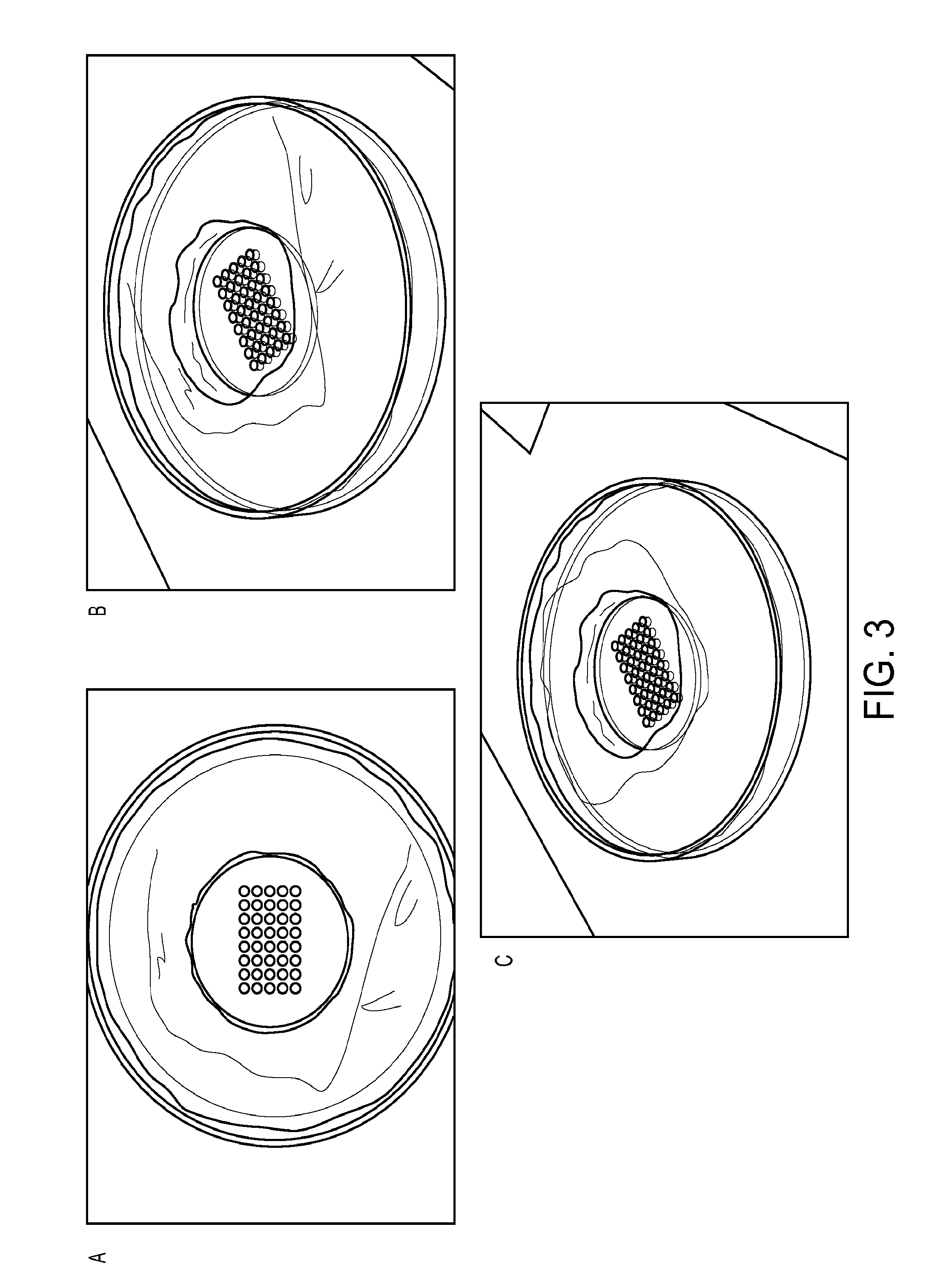 Tissue array for cell spheroids and methods of use
