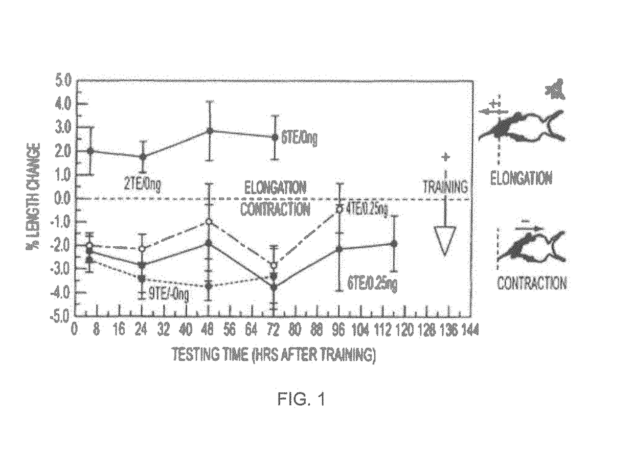 Methods of stimulating cellular growth, synaptic remodeling and consolidation of long-term memory