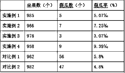 Seedless watermelon anti-dehiscence method