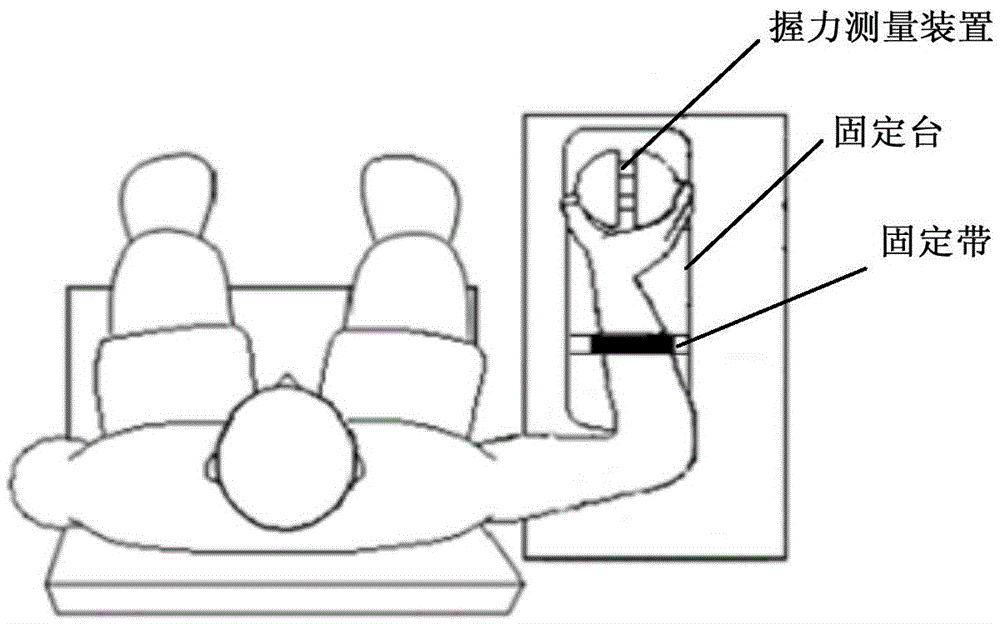 A grasping function evaluation and training system