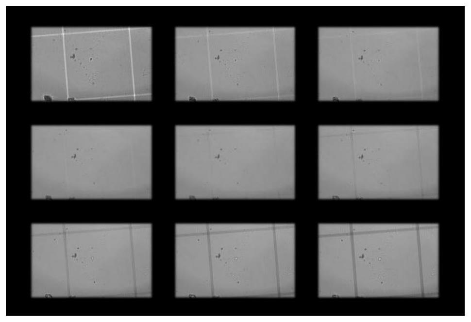 Quantitative phase imaging method and system based on multi-focal multiplexing lens