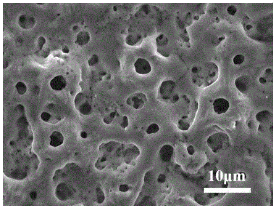 Preparation method of pure titanium surface Ag/Sr co-doped TiO2 porous film