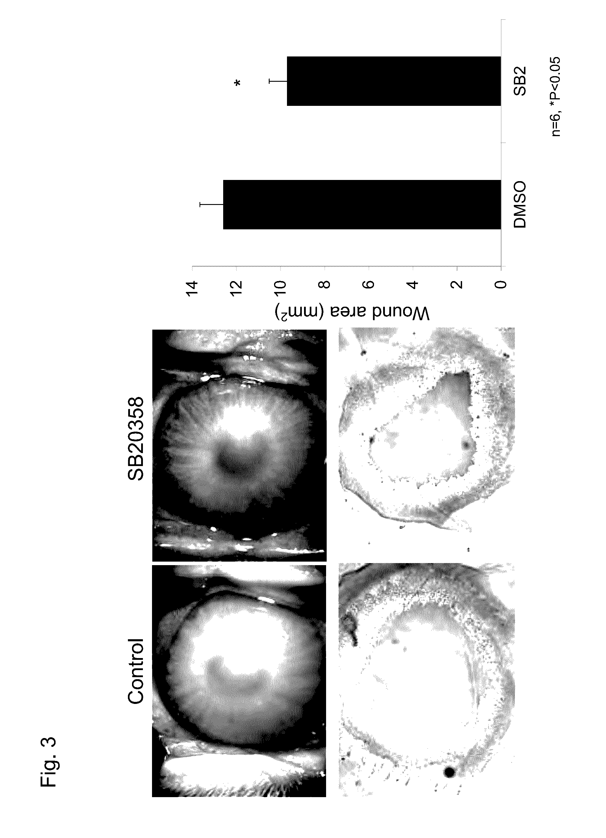 Drug for treating corneal endothelium by promoting cell proliferation or inhibiting cell damage