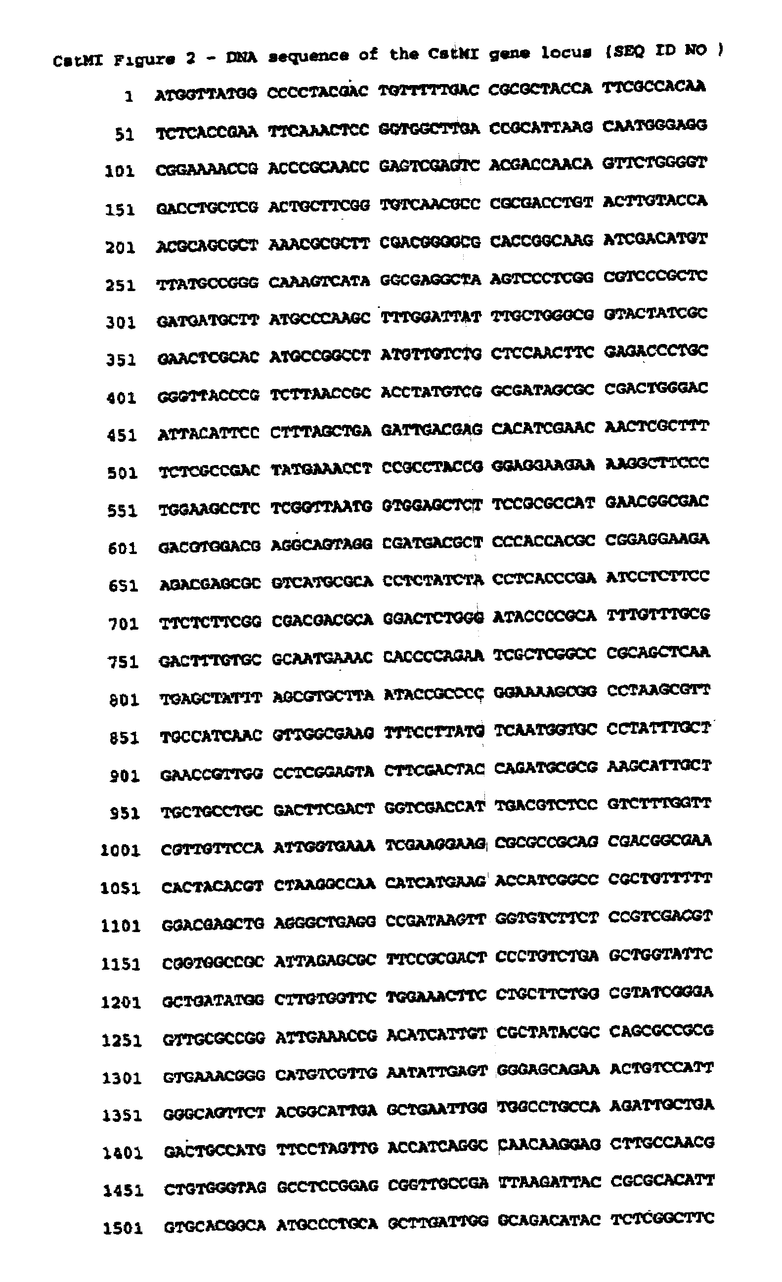 Type II restriction endonuclease, CstMI, obtainable from Corynebacterium striatum M82B and a process for producing the same