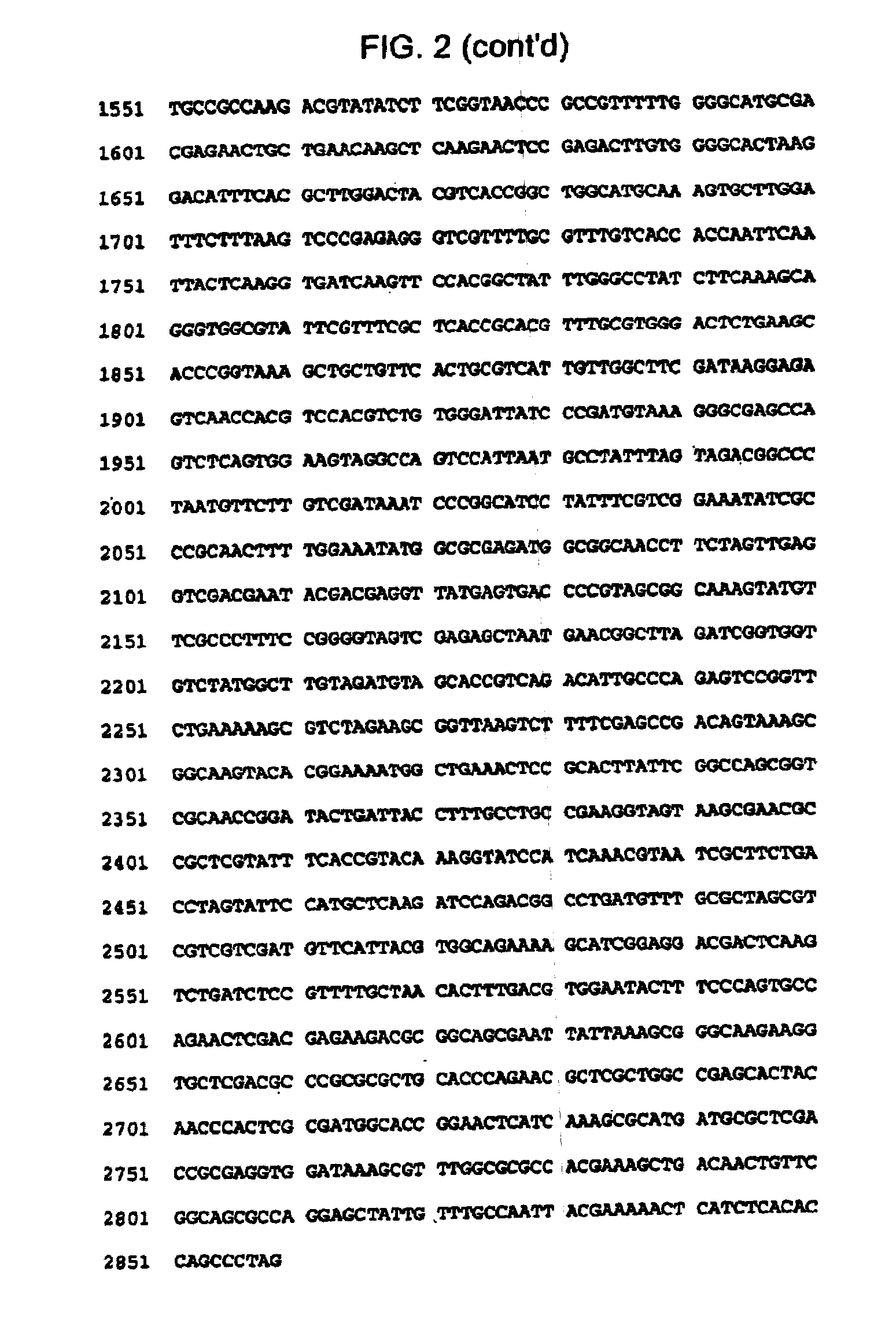 Type II restriction endonuclease, CstMI, obtainable from Corynebacterium striatum M82B and a process for producing the same