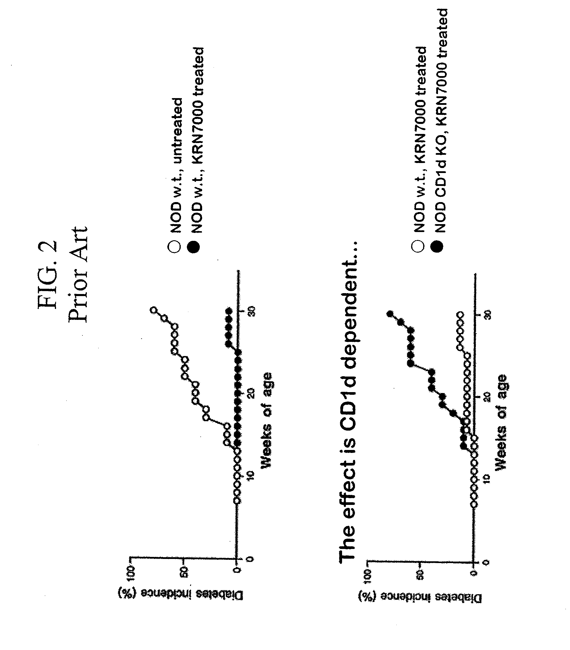 Ceramide derivatives as modulators of immunity and autoimmunity