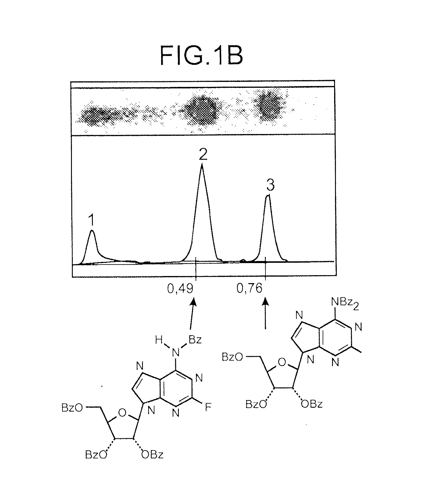 Method for preparing a marked purine derivative, said derivative and uses thereof
