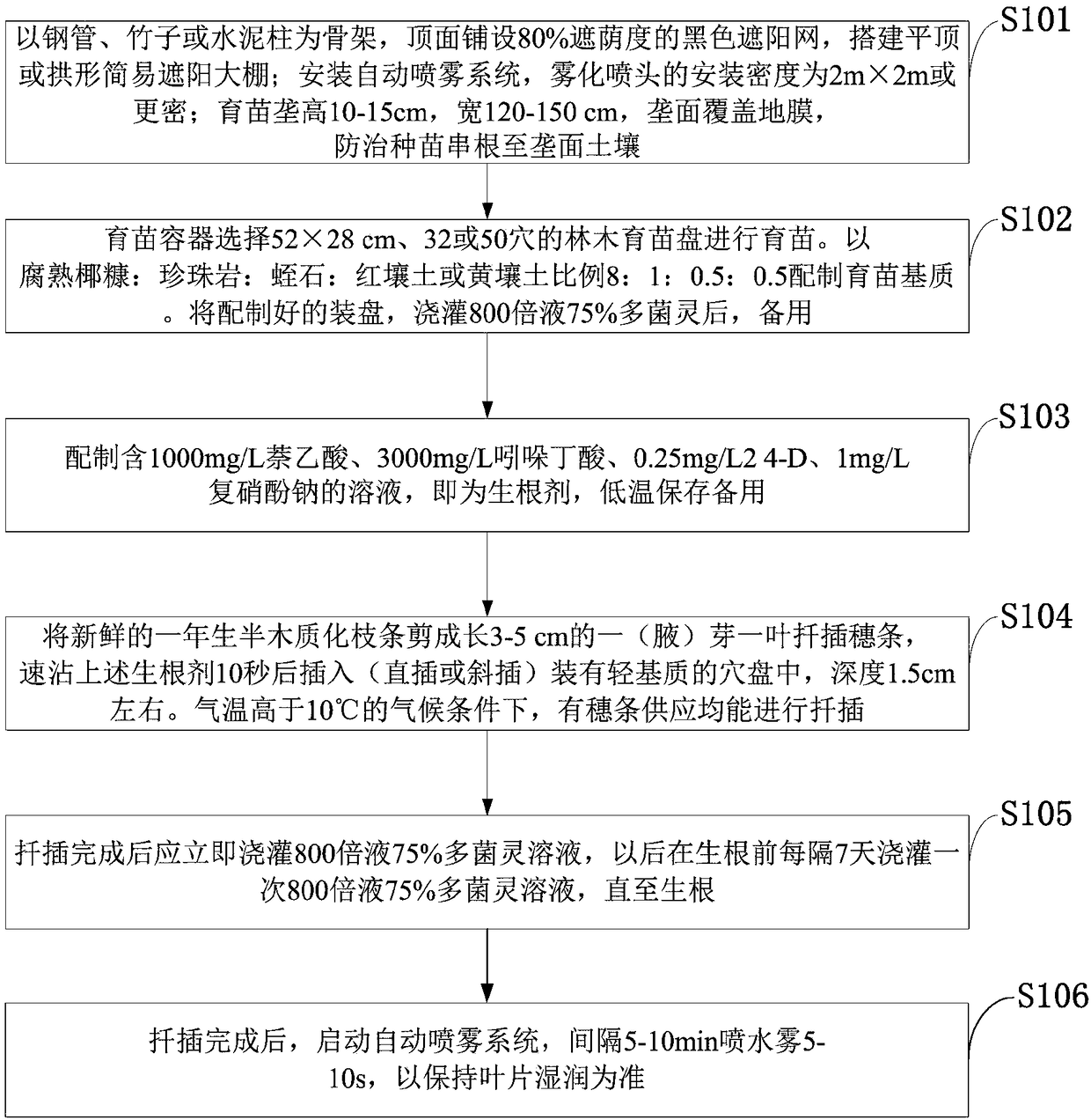 Camellia oleifera rapid rooted seedling cutting seedling method, seedling substrate and rooting agent