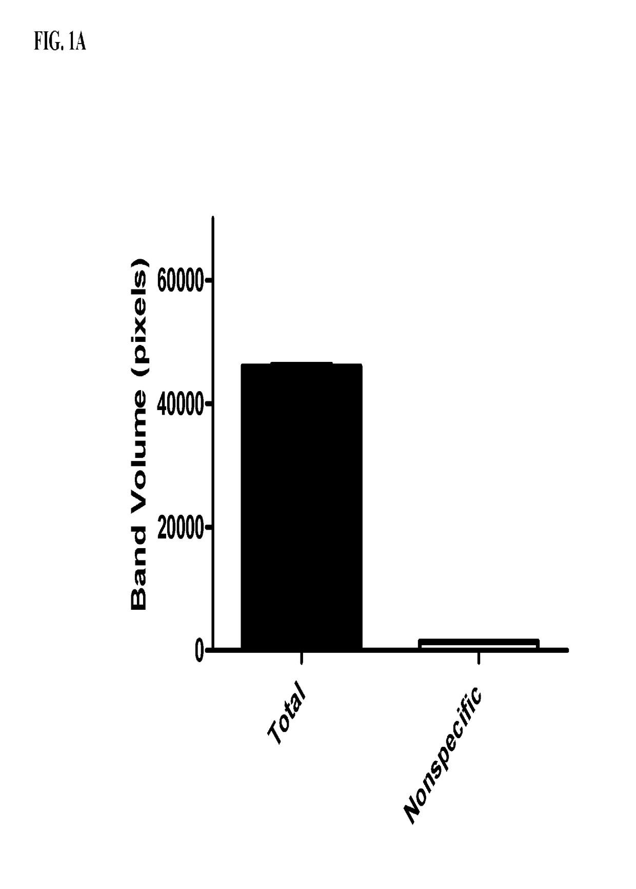 Novel bt toxin receptors and methods of use