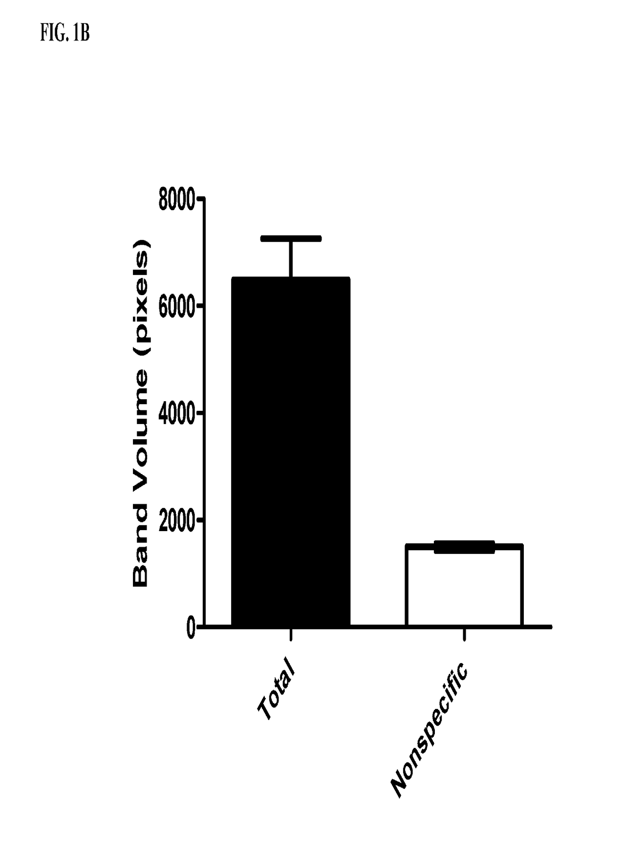 Novel bt toxin receptors and methods of use