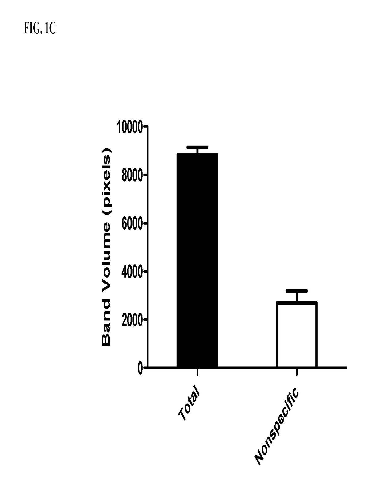 Novel bt toxin receptors and methods of use