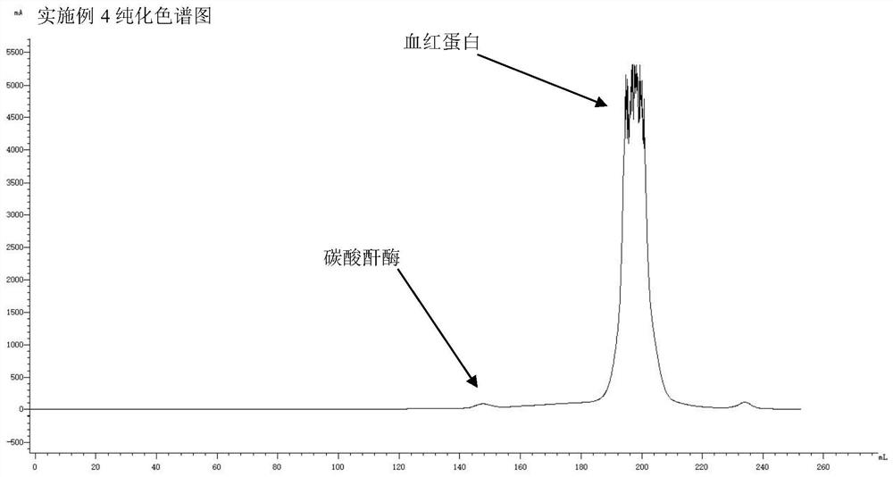 Washing buffer and method for purifying bovine hemoglobin using the washing buffer