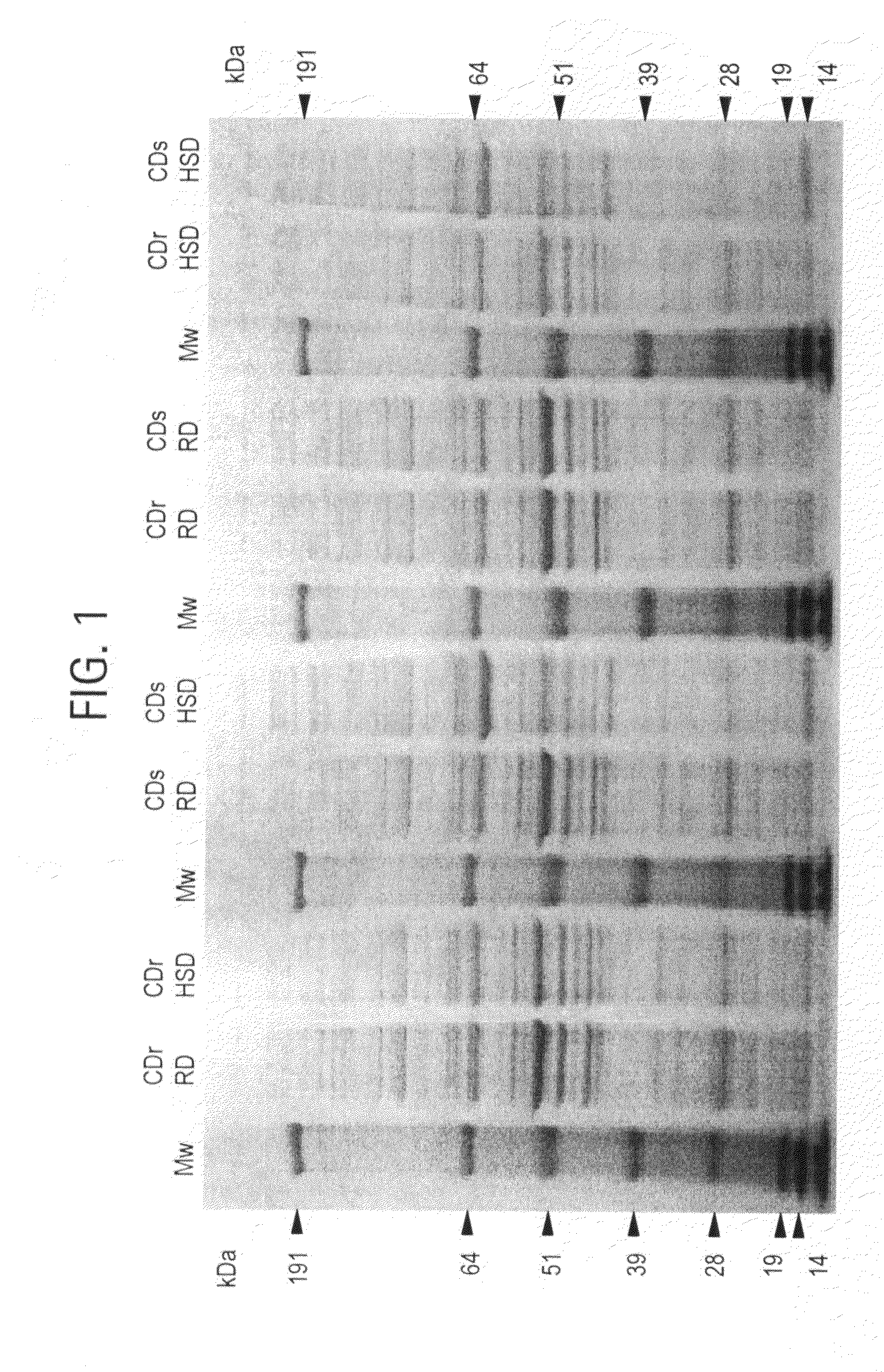 Compositions and methods for diagnosis and treatment  for type 2 diabetes